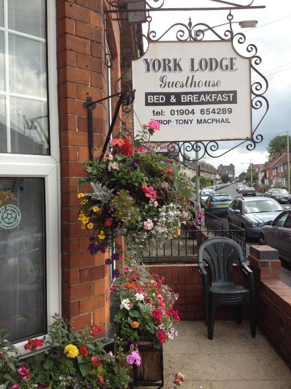 York Lodge Guesthouse Номер фото